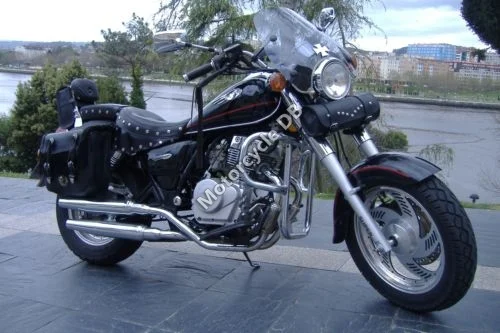 2009 Clipic Custom Guepard 125cc