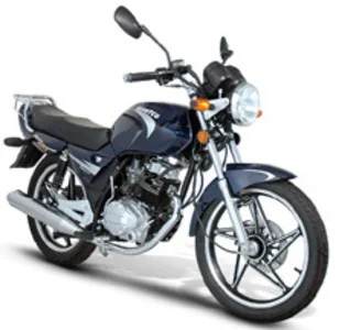 2010 Giantco Hunter City 125