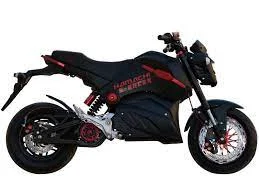 2020 Hamachi E-Racer X