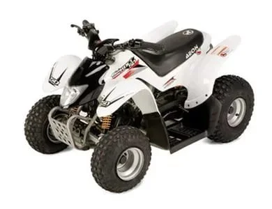 2009 Aeon Minikolt 50