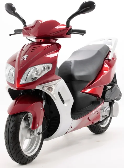 2010 Peugeot Sum Up