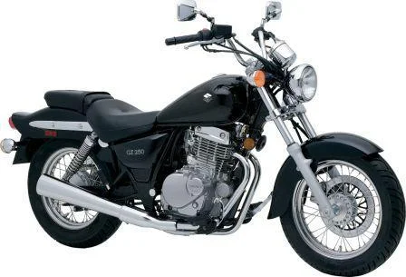 2011 Suzuki GZ250
