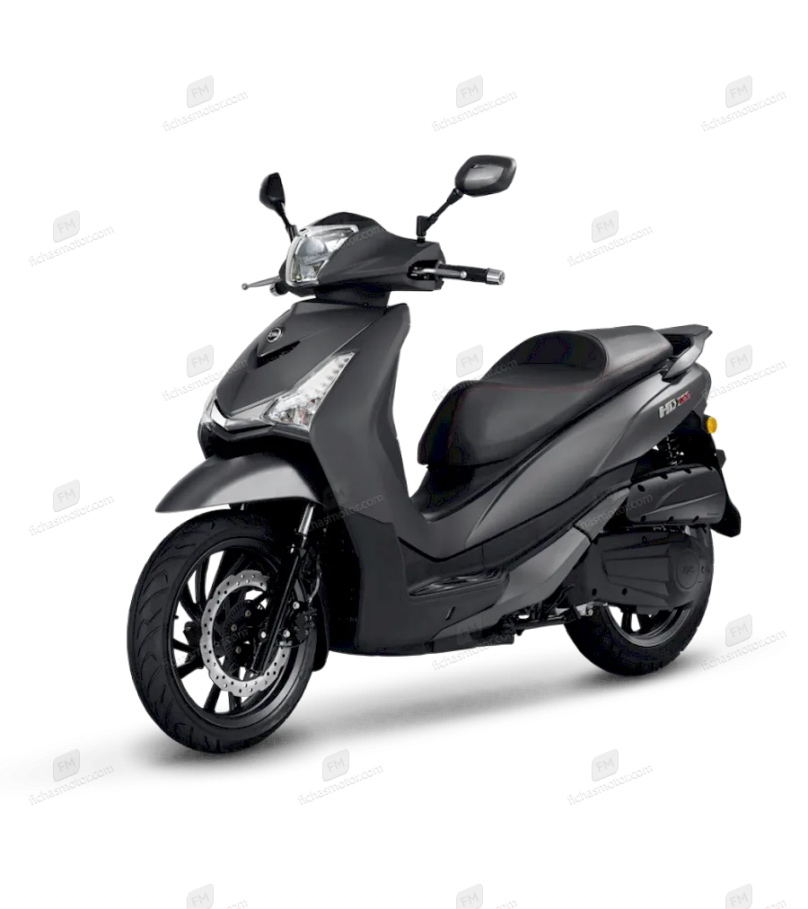 2020 Sym HD 300
