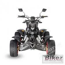 2010 Xmotos Kodiac 250