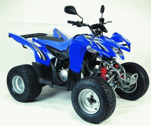 2009 Aeon Cobra 220
