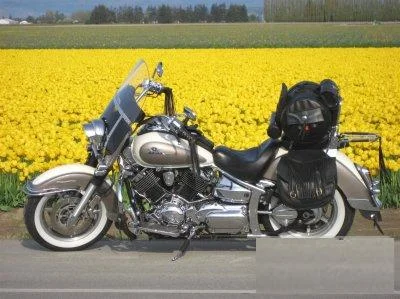 2003 Yamaha XVS 1100 Drag Star