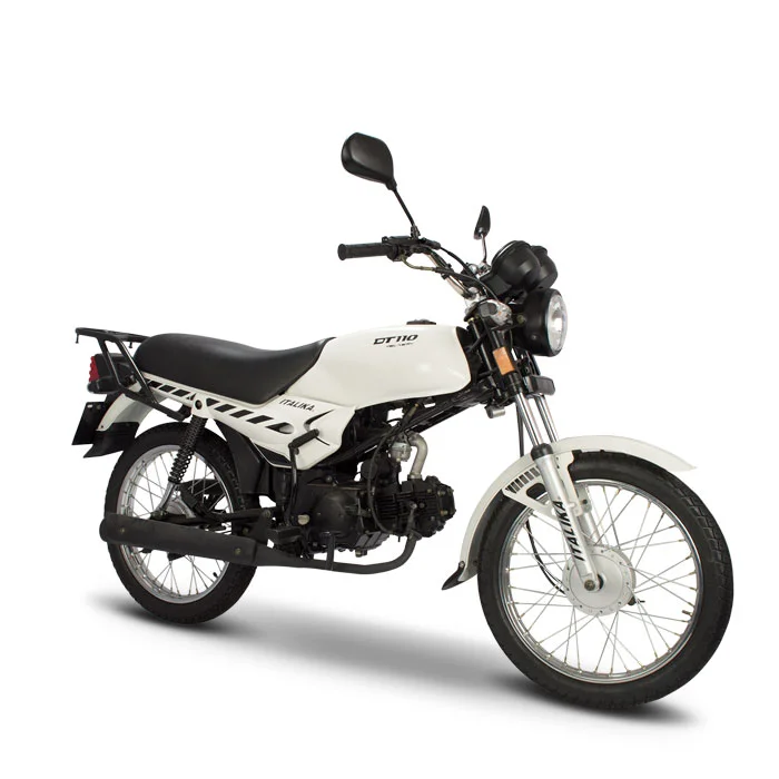 2021 Italika DT 110 Delivery