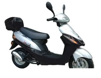 2010 Pagsta Wasp 50