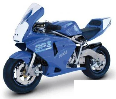 2004 Polini GR 3 Reverse Minimoto