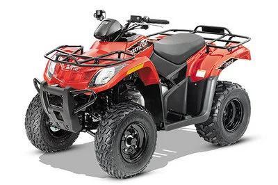 2015 Arctic Cat 300