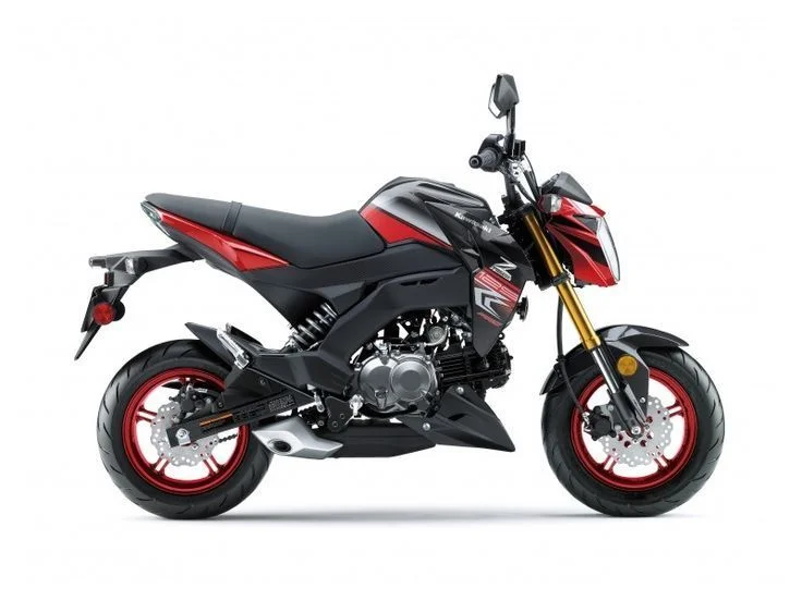 2018 Kawasaki Z125 Pro
