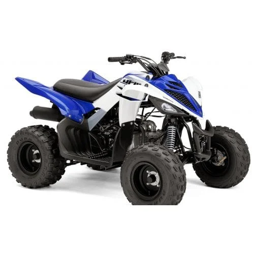 2016 Yamaha YFM90