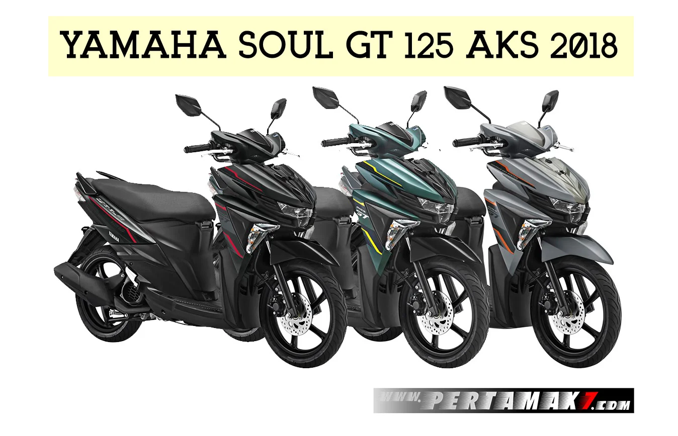 2018 Yamaha Soul GT AKS