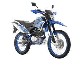 2020 Italika DM250