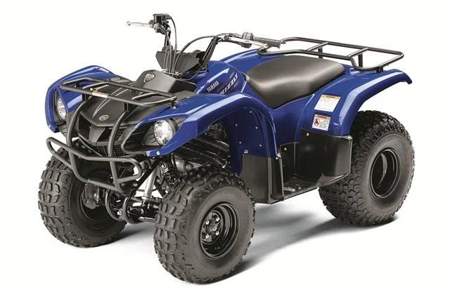 2015 Yamaha Grizzly 125 Automatic