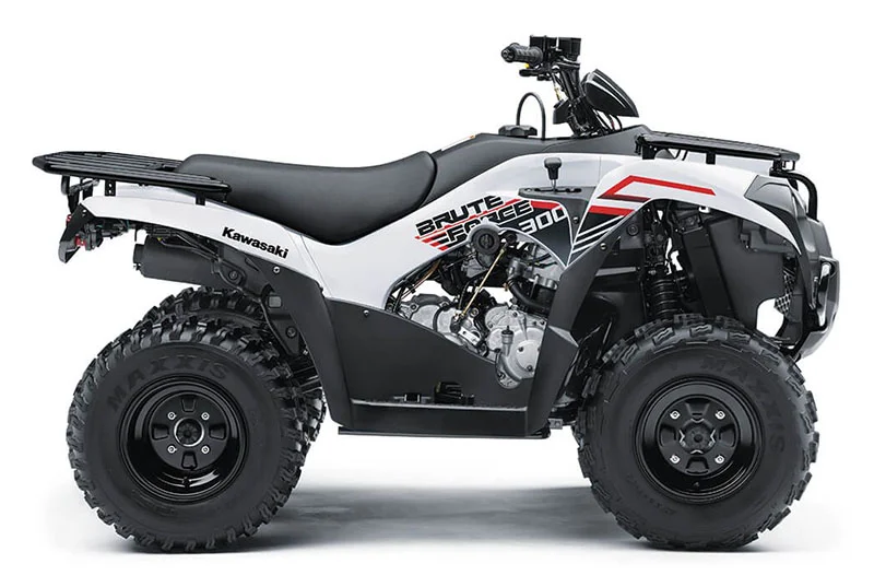2021 Kawasaki Brute Force 300
