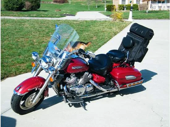 1999 Yamaha XVZ 1300 A Royal Star
