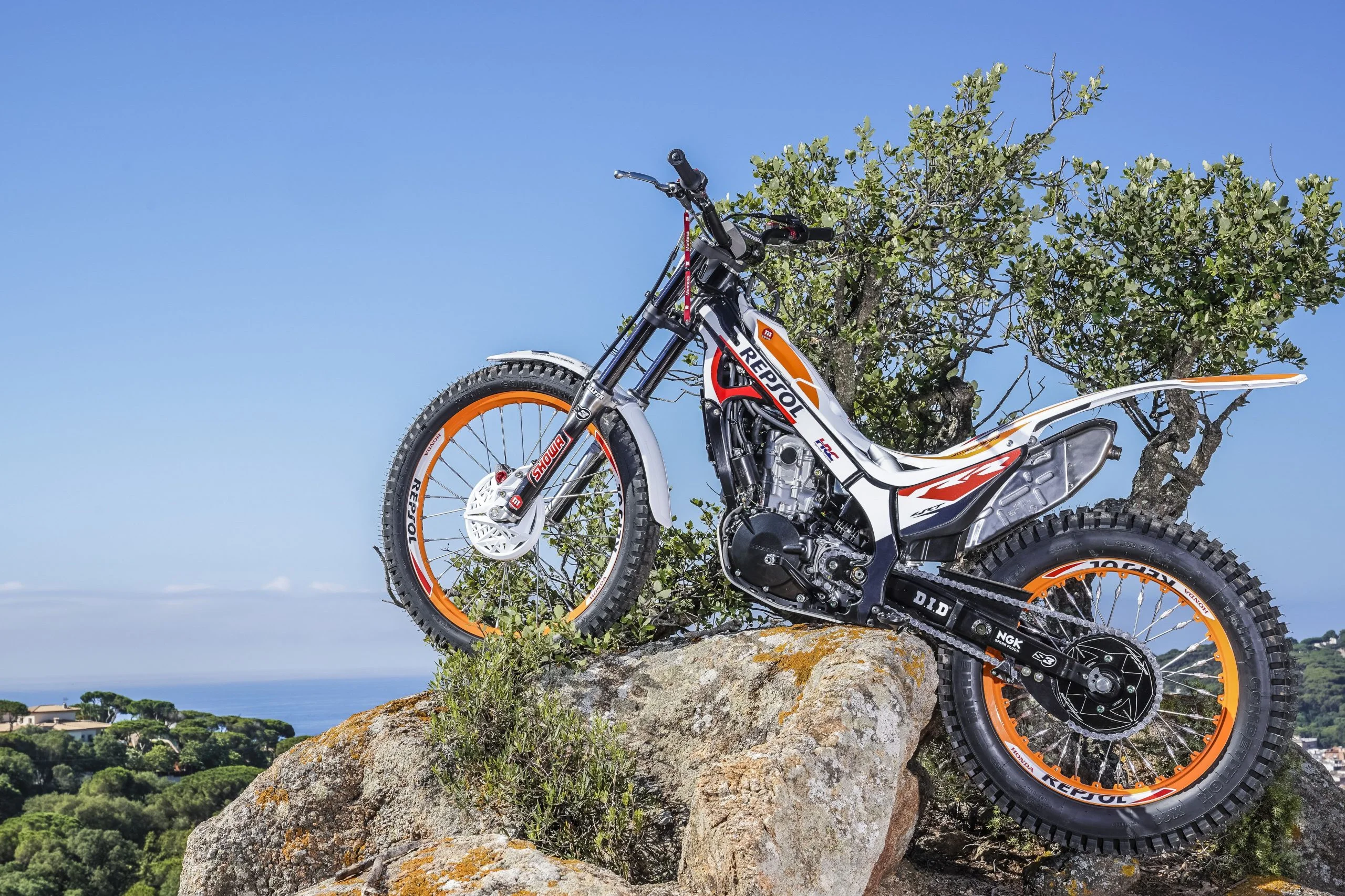 2023 Honda Montesa Cota 4RT 301RR