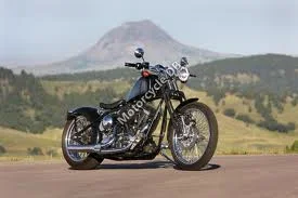 2010 Saxon Reaper