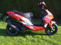 2008 Sachs SpeedForce 50