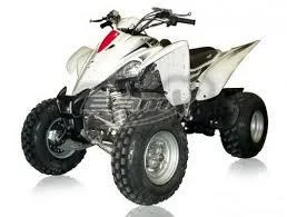2010 BamX BX400-S Assault
