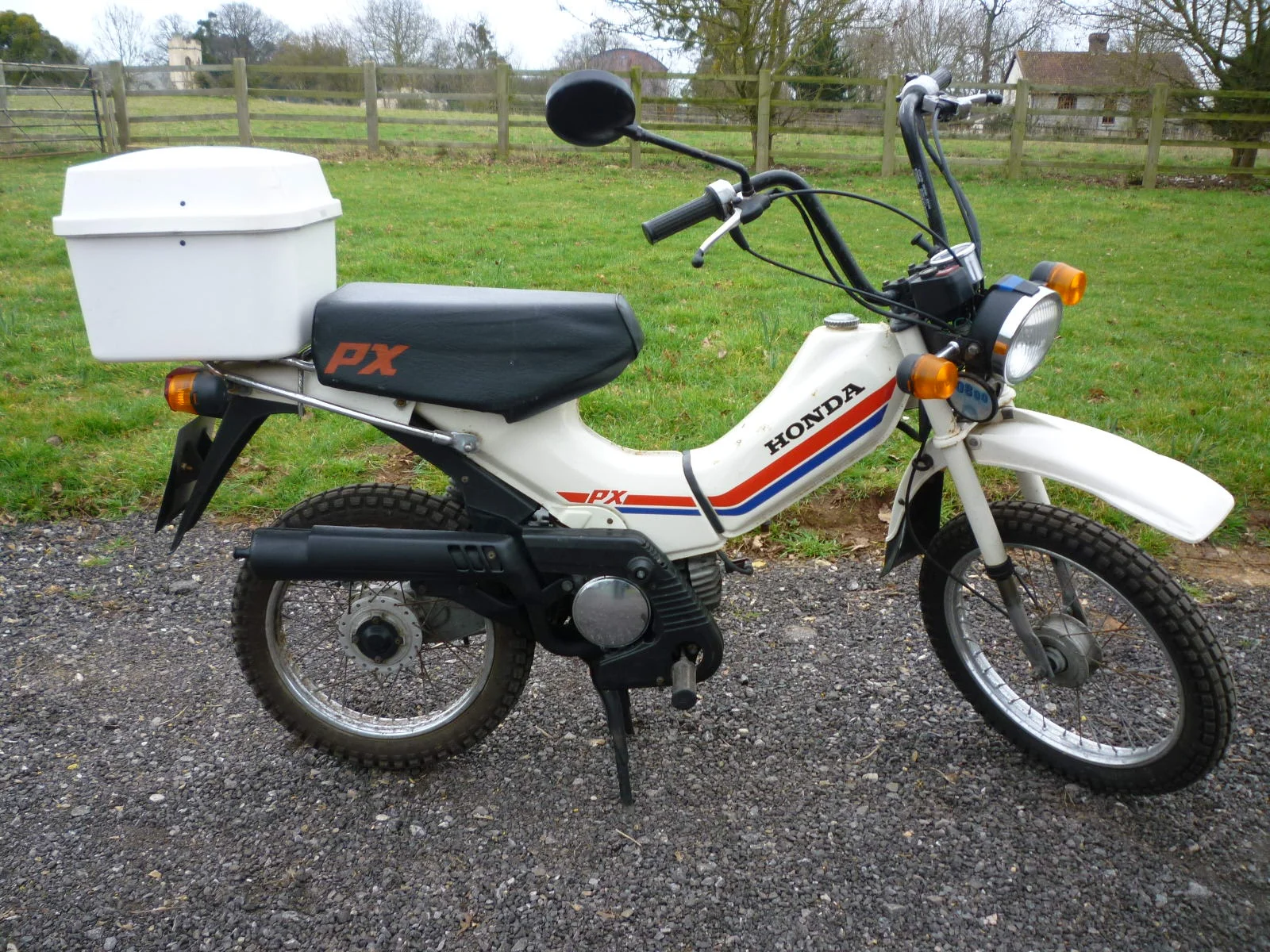 1981 Honda PX50