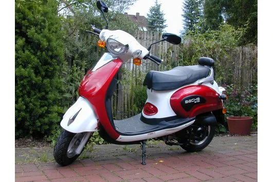 2007 Sachs Bee 50