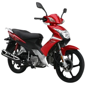 2020 Haojue Lucky Sport HJ 110-3