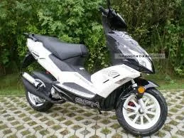 2013 Sachs Speedjet RS