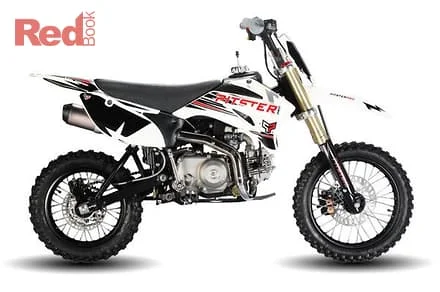 2012 Pitster Pro MX 110R