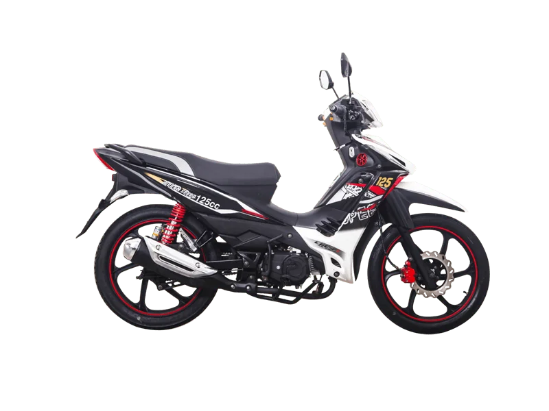 2020 Lifan PK125M