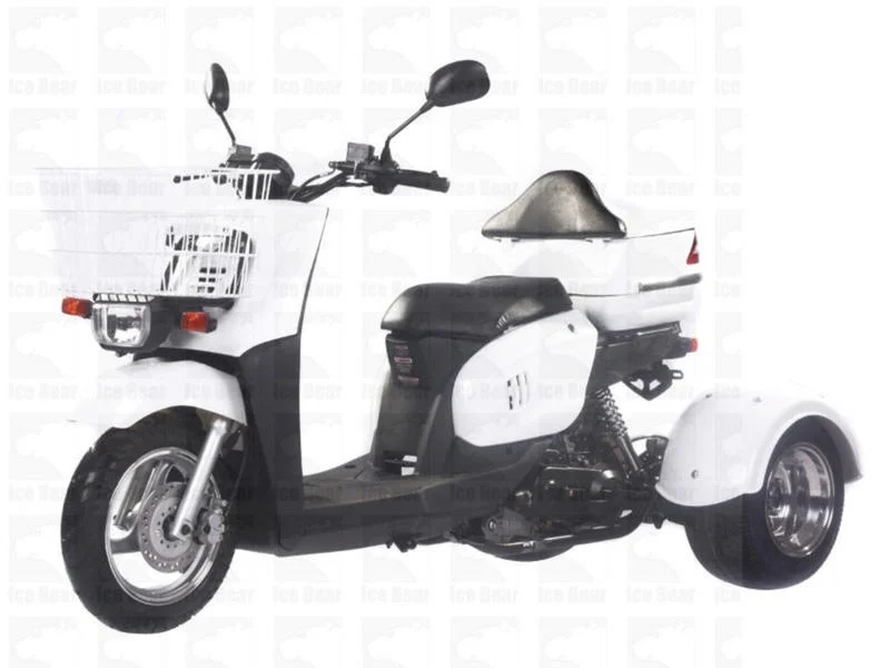 2016 Ice Bear Mini Cruzzer 50 Trike