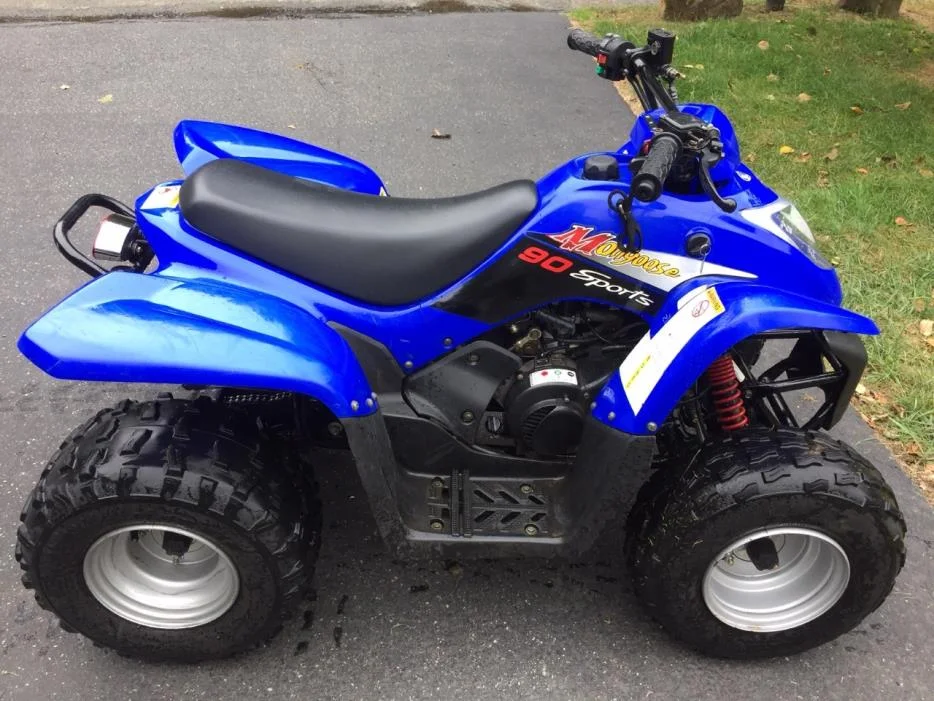2010 Kymco Mongoose 90