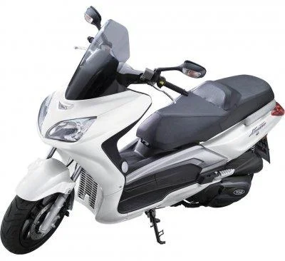 2011 TGB X Large 250 EFI