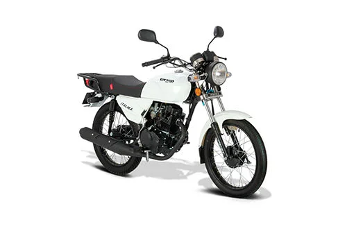2020 Italika DT125 Delivery