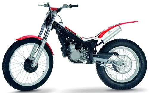 2010 Beta Evo 300 4T