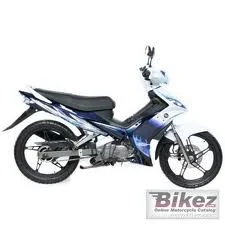 2011 Demak Evo Z