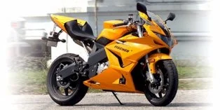 2010 Fischer MRX