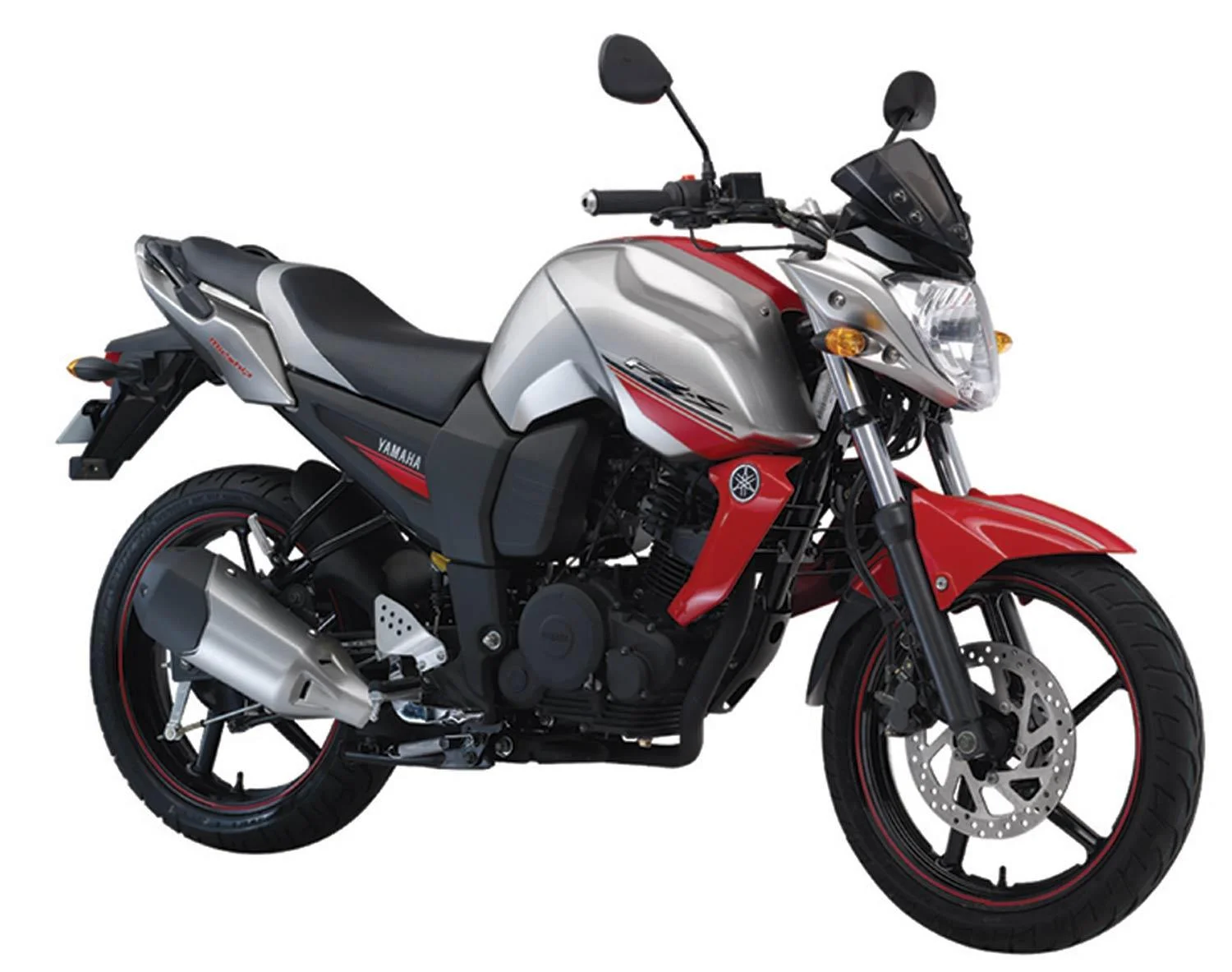 2009 Yamaha FZS