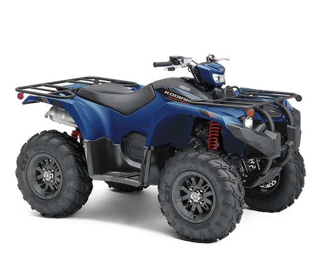 2019 Yamaha Kodiak 450 EPS