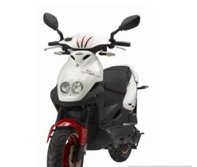 2010 PGO No Fear 50