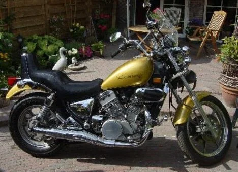 1989 Kawasaki VN 750 Twin 