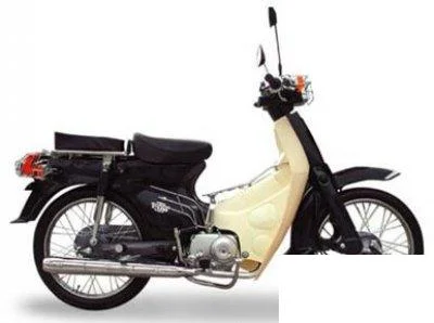 2005 Veli ZQ 100