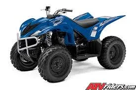 2009 Yamaha Wolverine 350