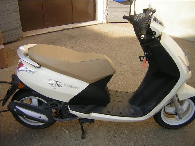 2010 Peugeot Vivacity 4T