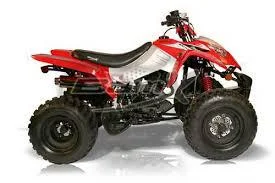 2010 BamX BX250-S1 Assault