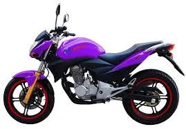 2012 Veli VL250GS-5