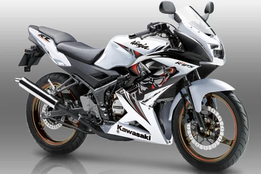 2015 Kawasaki Ninja RR Special Edition