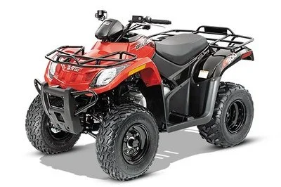 2014 Arctic Cat 300