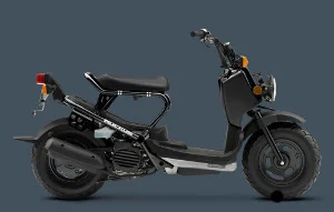 2010 Honda Ruckus
